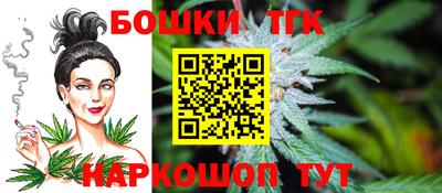 индика Вязьма