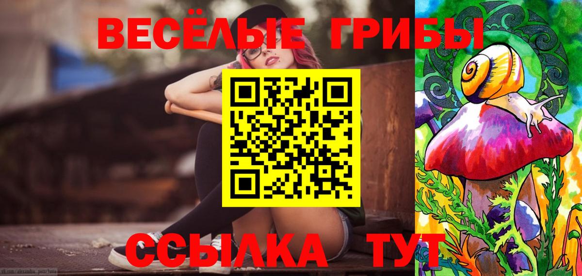 цена наркотик  Вход с VPN  Дзержинск  Галлюциногенные грибы мицелий 