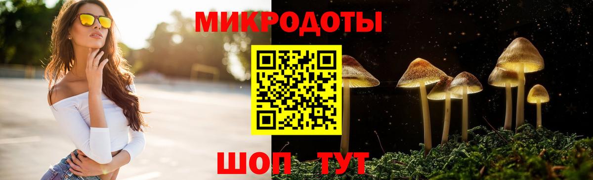 Псилоцибиновые грибы Cubensis Дзержинск